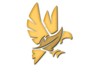 Icone 3d e colorido: Aguias Marketing